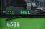 버스,노선,폴란드,운행