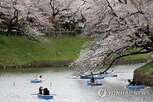 일본,한국,여행,아르헨티나,수요,현지,문화,실제,분석,확산
