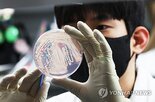 수산물,검사,농수산물,발생,여름철,안전관리,정부