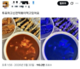 사진,인증,빨간색,색깔,특정,투표