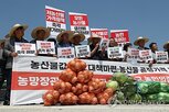지원,양파,농협,손실,가격,물량,사업