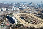 정부,공급,정비사업,과천,계획,주택,시장,민간,서울,경마공원