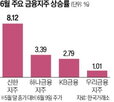 상승,은행주,포인트,리스크,이익