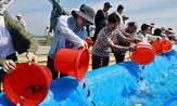 방류,공동,중국,한중,서해,수산자원,양국