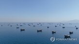 하루,전략,내년,증가,시장,세계