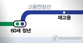 정년,연장,기업,고용,재고용,일률적,교수