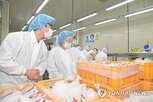 수출,축산물,위해,방안,지원