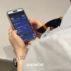 플랫폼,정보,업무,공항,이스타항공