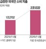 소비,관광객,지출
