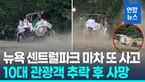 마차,센트럴파크