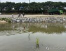 해미천,사고,오후