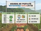 지급,양파,농가
