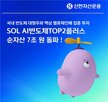 순자산,반도체,국내,기준,플러스