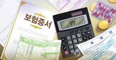 변경,심사기준,안내,소비자,보험금,금감원,보험사