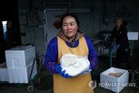 중국,생산량,그라,프랑스,증가,거위