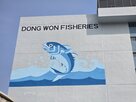 회사,동원수산,실적,최대주주,사업