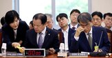 의원,불출석,여야,직무대행,국민,국정조사