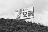 보해양조,종목,지정,상승,공장