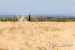 재배면적,증가,보리,올해,작년,감소