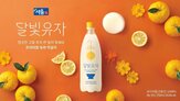 막걸리,유자,서울장수,달빛유자