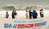 너울,파도,사고,동해안,발생,바다,우리나라