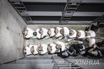 중남미,정권,국민,좌파,우파,범죄,아르헨티나,트럼프,강력,베네수엘라