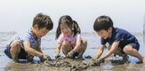 갯벌,보전,월드비전
