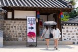 작품,동양화,미학관,드로잉