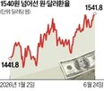 환율,달러,외국인,원화,순매도,이날,미국,종가