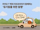 유기동물,캠페인,카카오