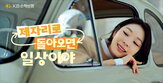 펫보험,할인,손해보험,상품