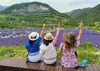 여행,비중,가장,증가,여행지,이용,반면,리조트,이상,호텔