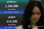 확대,레버리지,한은,변동성,단일종목,주가,국내,심화,강화,비중