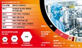 반도체,중국,화웨이,제조,기업,개발,파운드리,공정