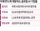 개발,반도체,자체,설계,중국