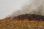 산불,피해,당국,스페인,발생,대피,대부분
