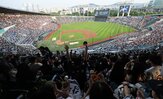 판매,조리,야구장,식품,이동,허용,규제