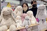 인형,매출,지난해,소프트토이,봉제,매장,소비자,젤리캣,최근