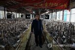 중국,그라,캐비어,업체,수출,세계