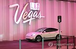 테슬라코리아,방식