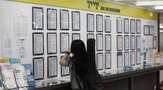 청년,일자리,청년층,공급,지원,정부,진입