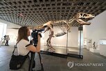 화석,공룡,경매,박물관,과학자,우려,연구