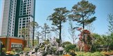 군산,단지,거실,가구,규모