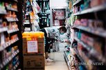 중국,부동산,감소,대비,주택,경기,전년,가격