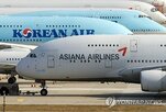 마일리지,대한항공,통합,제도,운영,우려,독과점,공정위