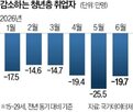 고용,청년층,감소,연속,대비,전년,동월