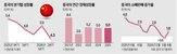 수출,중국,경제,내수,성장률,전년,정부,대비,확대