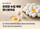 브라질,판매,수입,계란