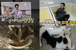 반려동물,영양,수의사,로얄캐닌