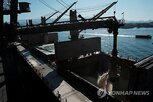 브라질,미국,관세,정부,무역